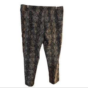 Snake Print Pointe Pants 3x